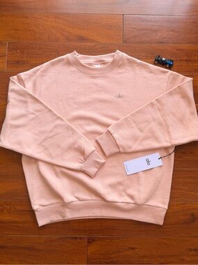 ALO Yoga Men’s Crewneck Sweatshirt in Blush Pink